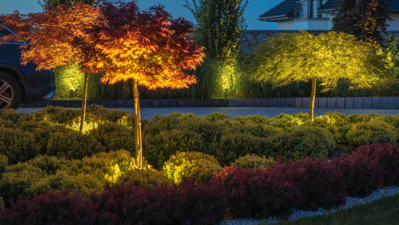 Landscape Lighting Installation in Denver County, CO