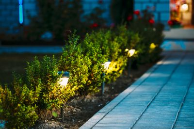 Outdoor Garden Lighting
